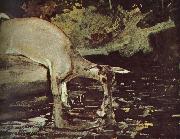 Winslow Homer Deer drink painting